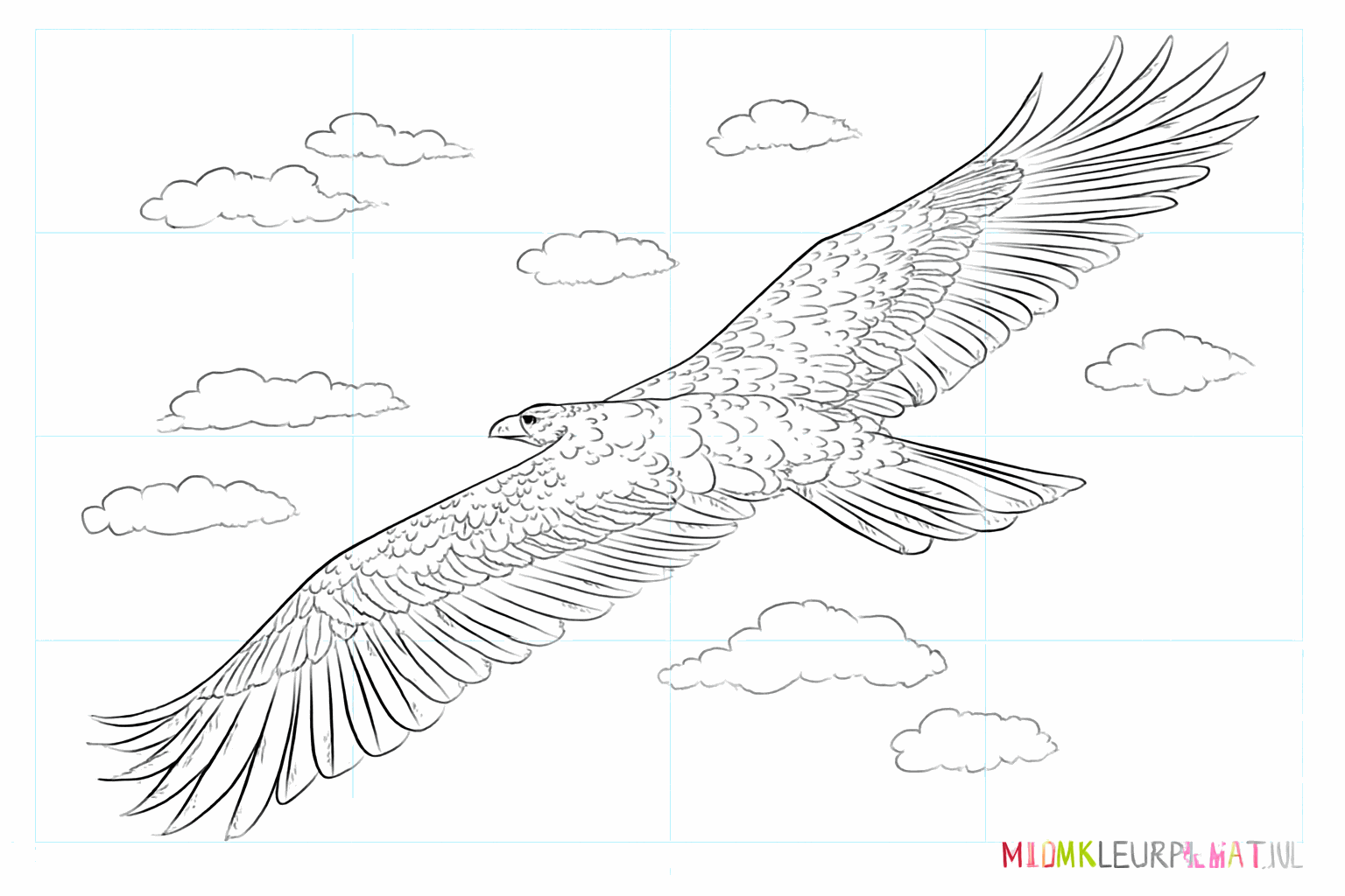 Drawing a cool golden eagle in 8 steps