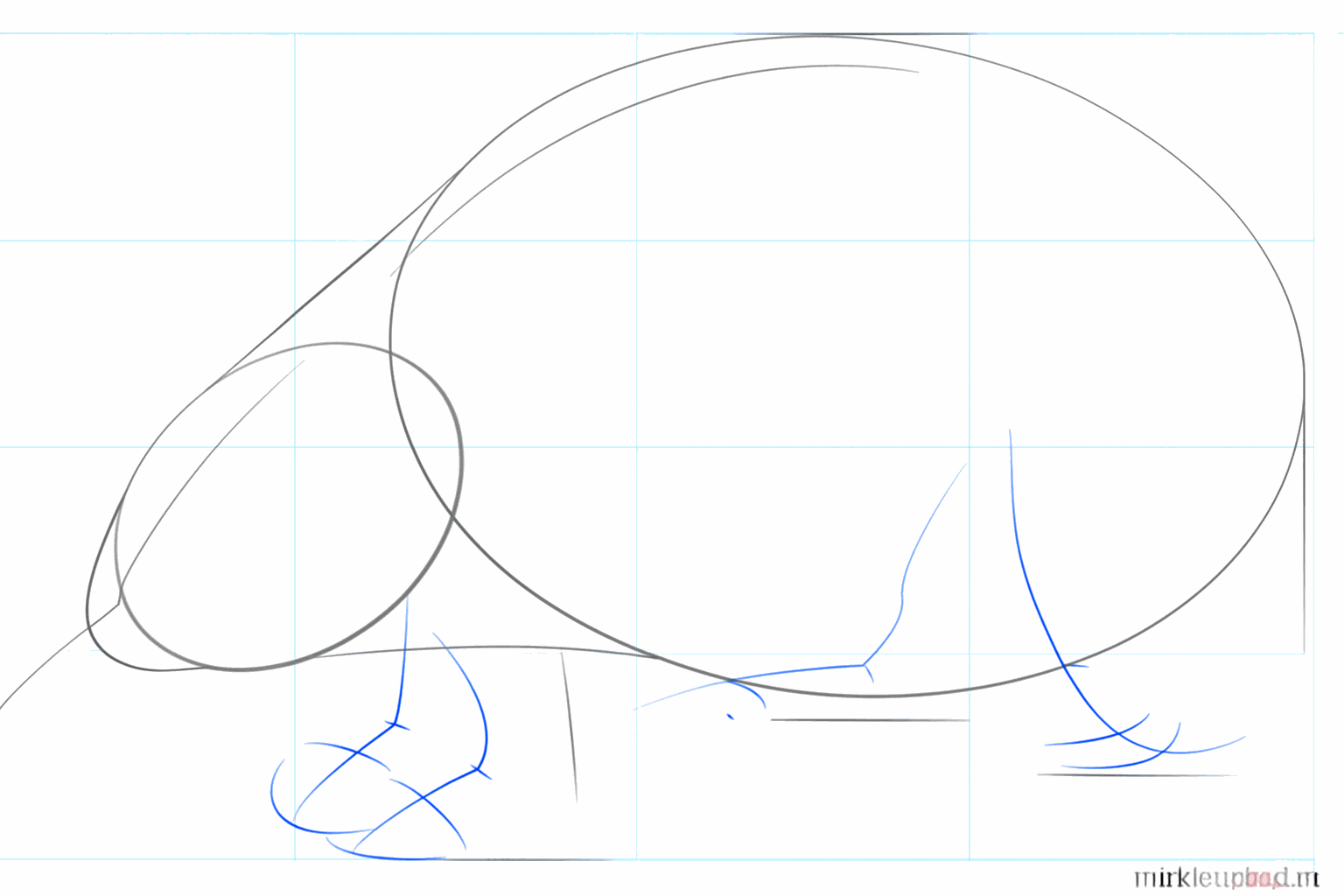 Tracer des lignes pour les pattes et le long museau de l'échidné.