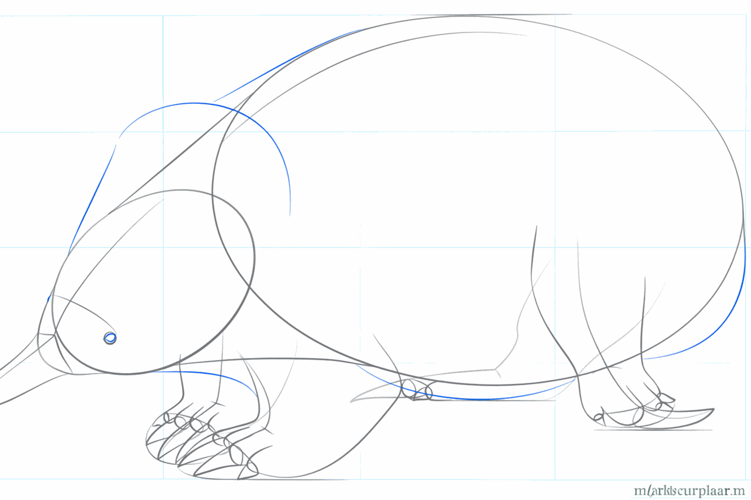 Dessiner des griffes sur les pattes et ajouter des détails à l'œil.