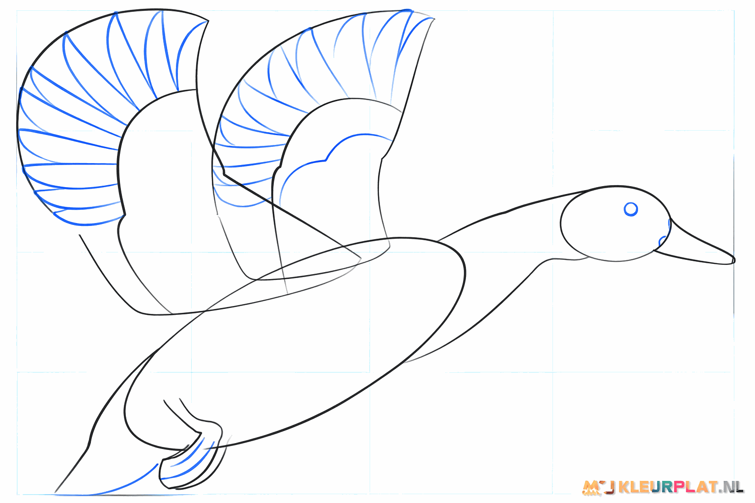 Details of the duck's legs with webbed feet and an eye in the head.