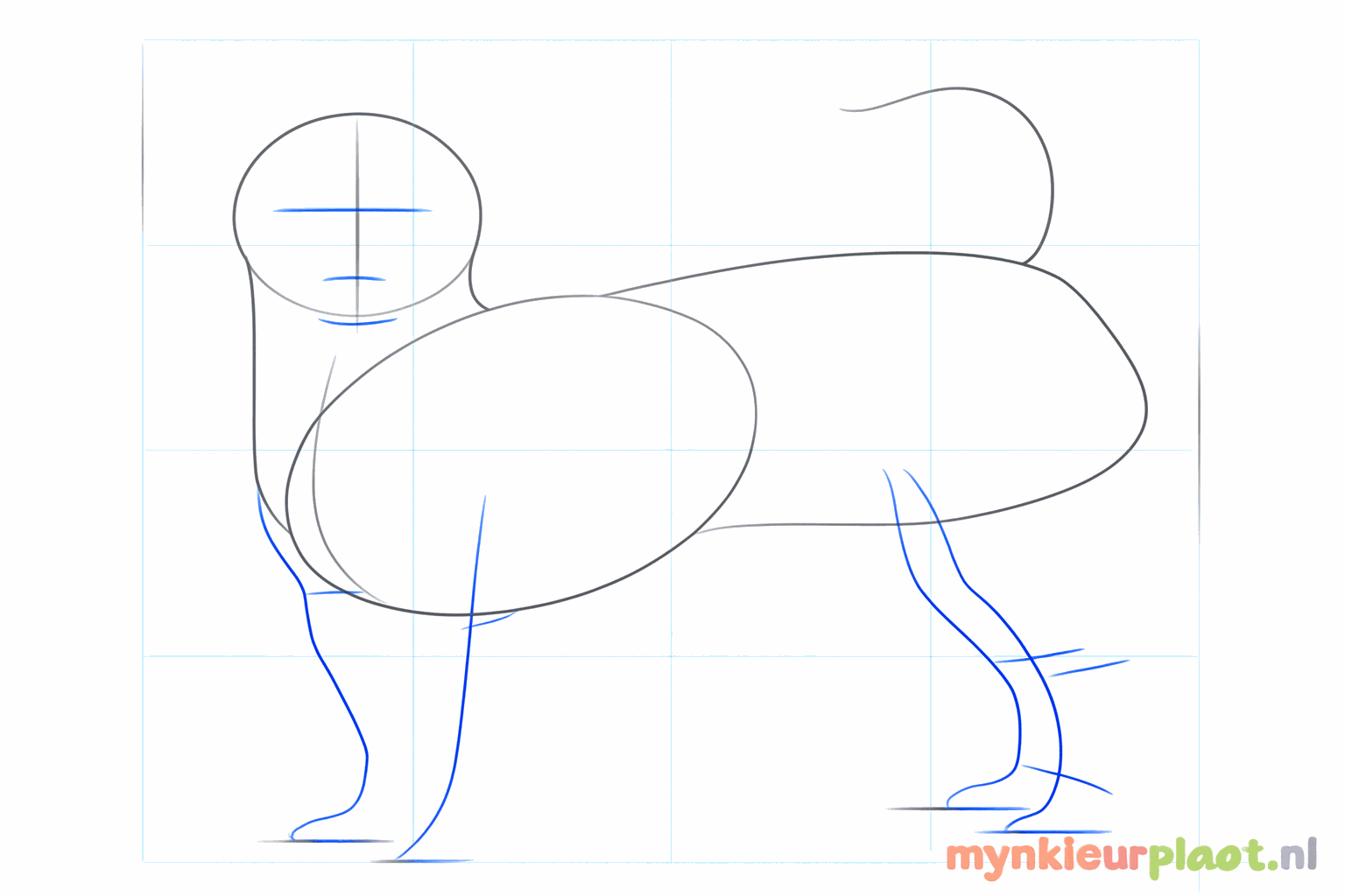 Lignes de repère pour le visage et les pattes du chihuahua.