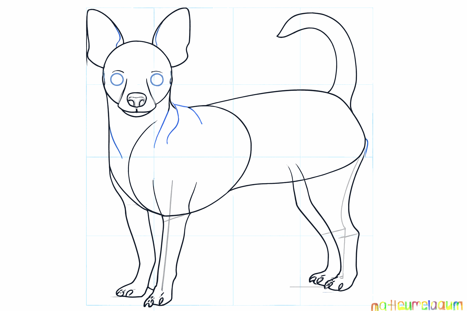 Détails tels que les orteils, une truffe et une queue plus épaisse ajoutés au dessin.
