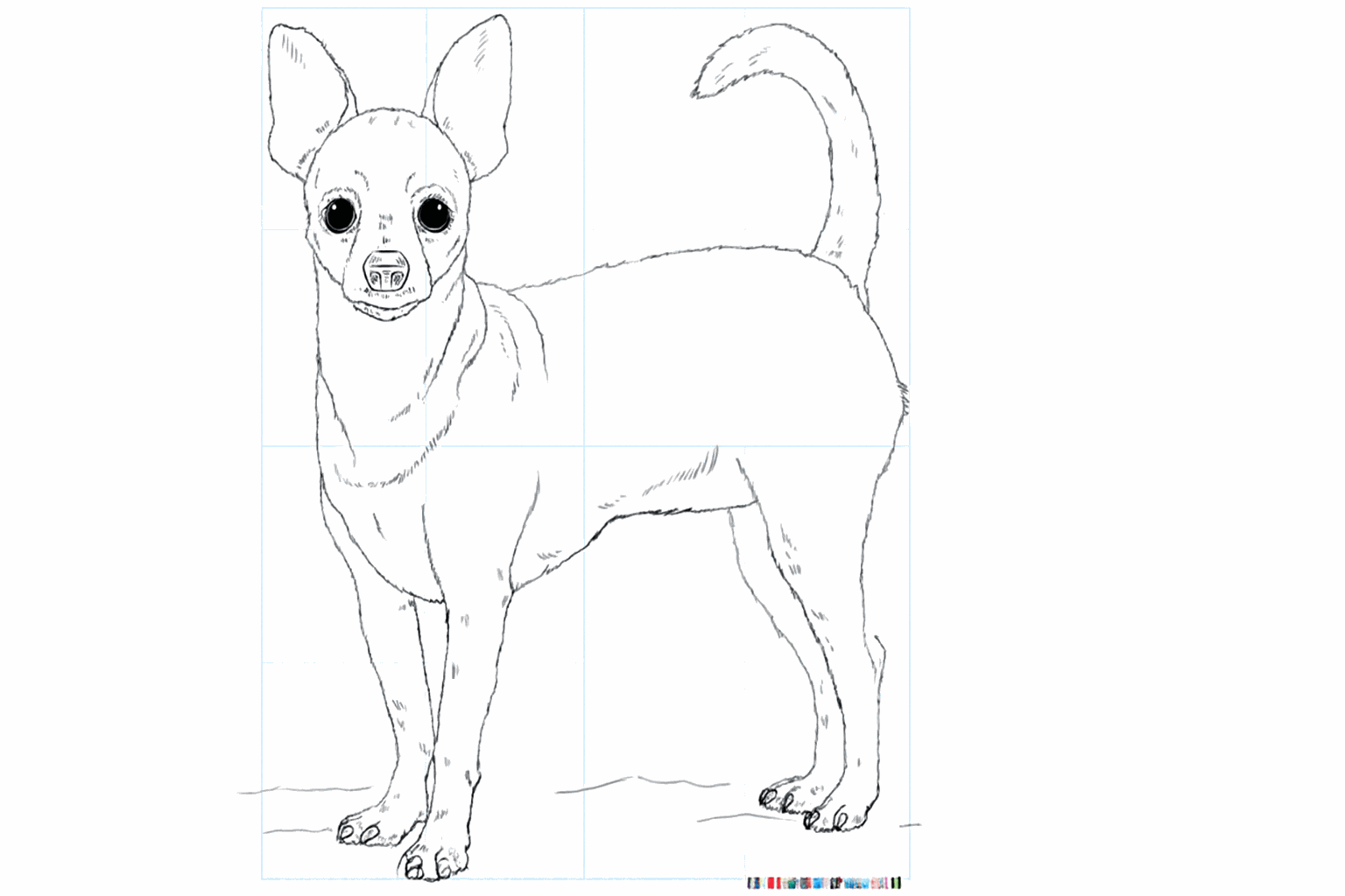 Drawing a Chihuahua: Step-by-step creating a cute little dog