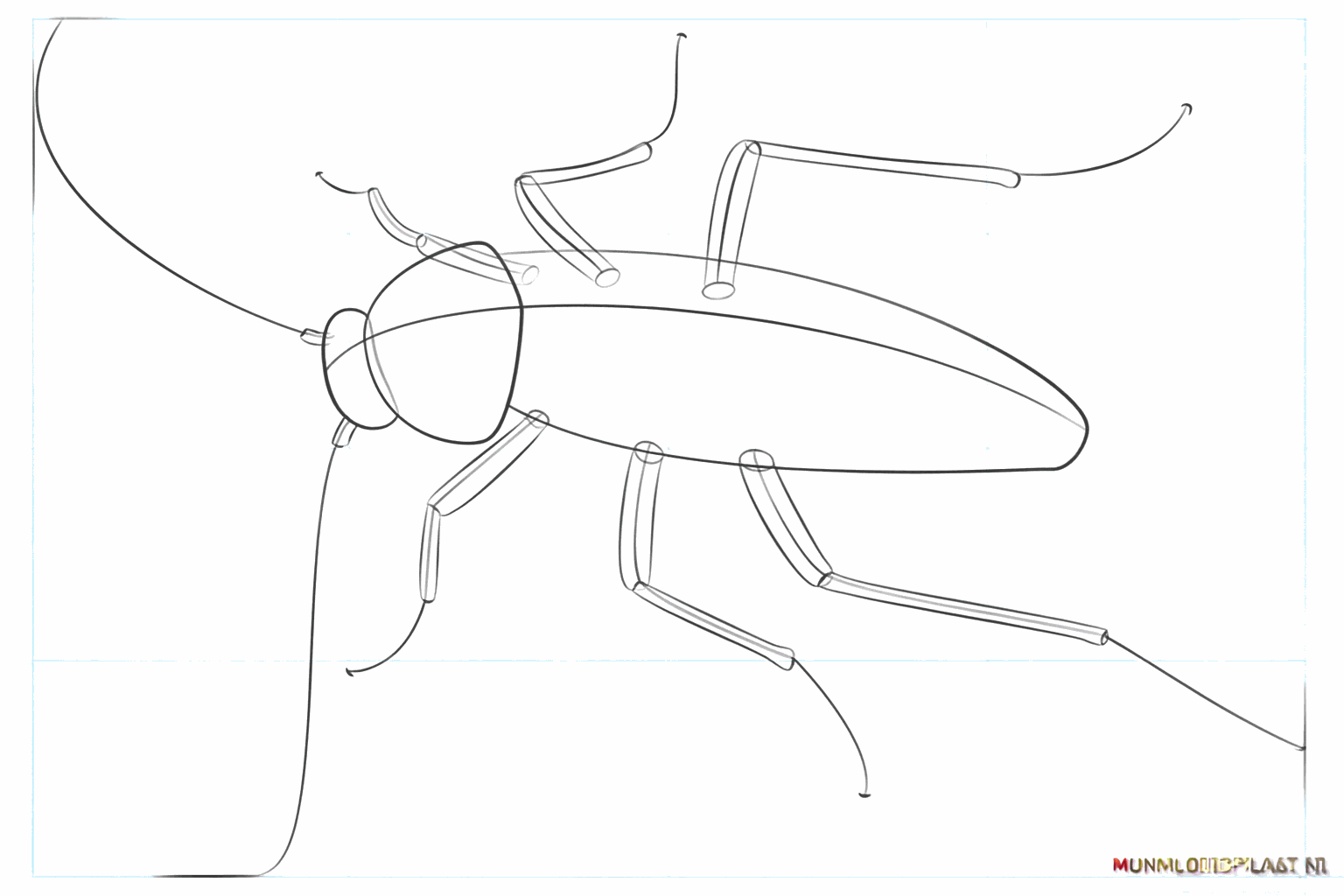 Lignes d'aide pour les six pattes et les deux longues antennes.