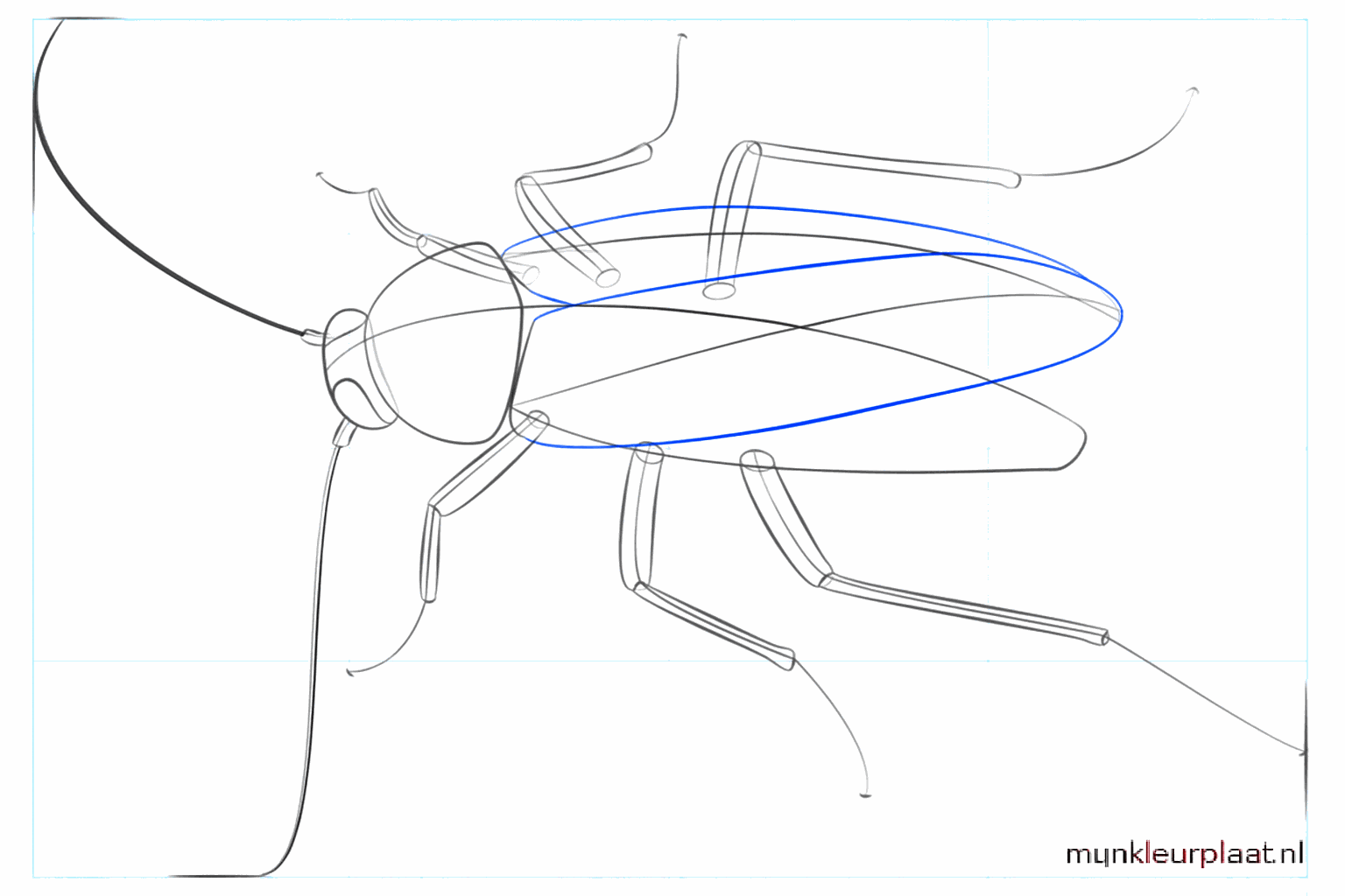 Lignes pour les ailes et petits cercles pour les yeux.