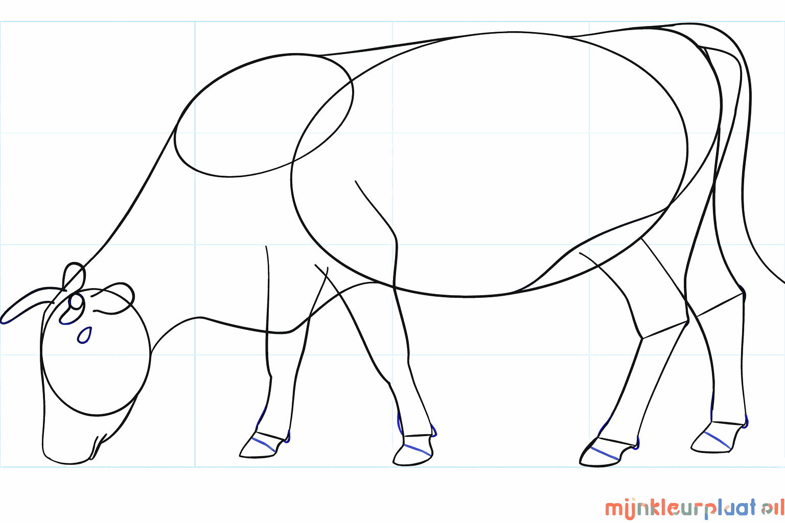 Détails des sabots et des cornes de la vache.