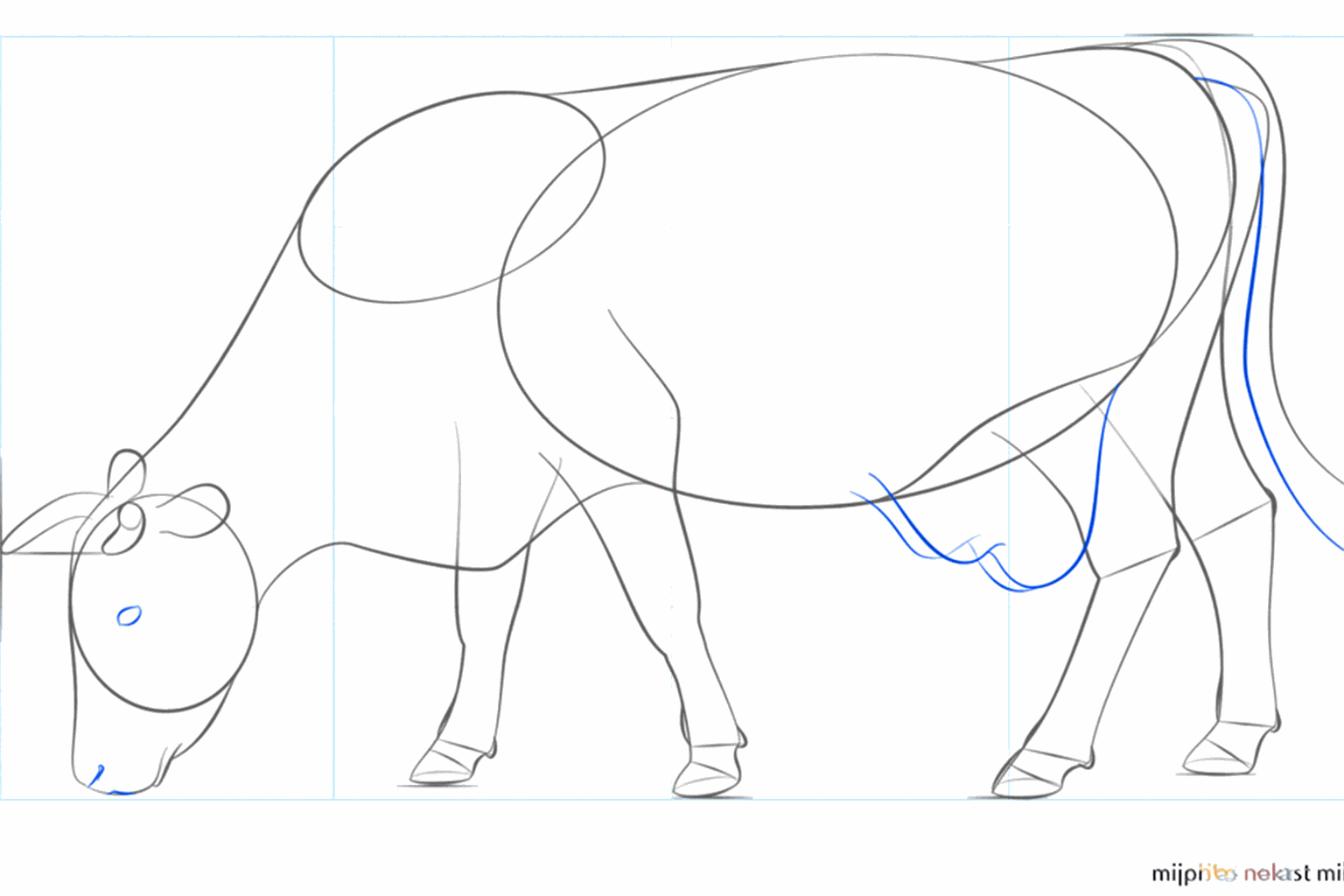 Le pis et la queue avec une extrémité poilue sont maintenant visibles.