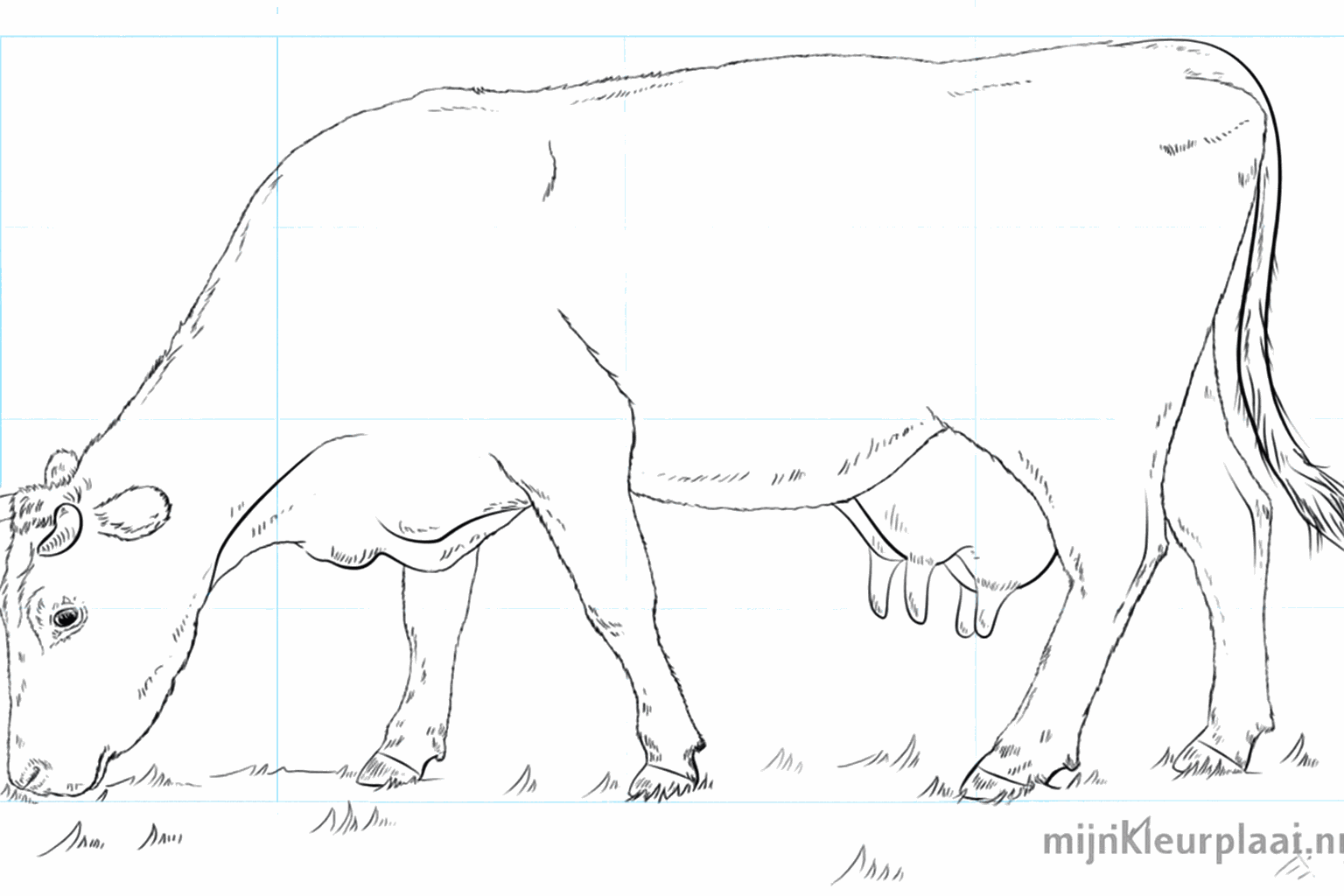 Drawing a happy cow in 9 simple steps