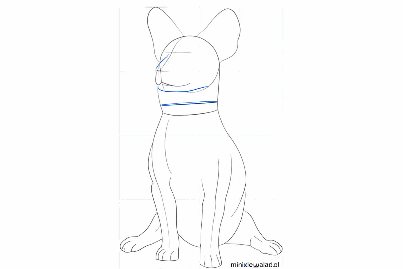 Quatre pattes courtes sous le corps et une ligne horizontale pour le collier.