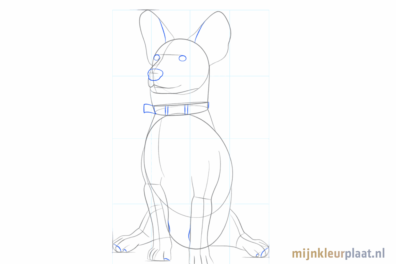 Détails des pattes du chien avec les orteils et la forme de la gueule.