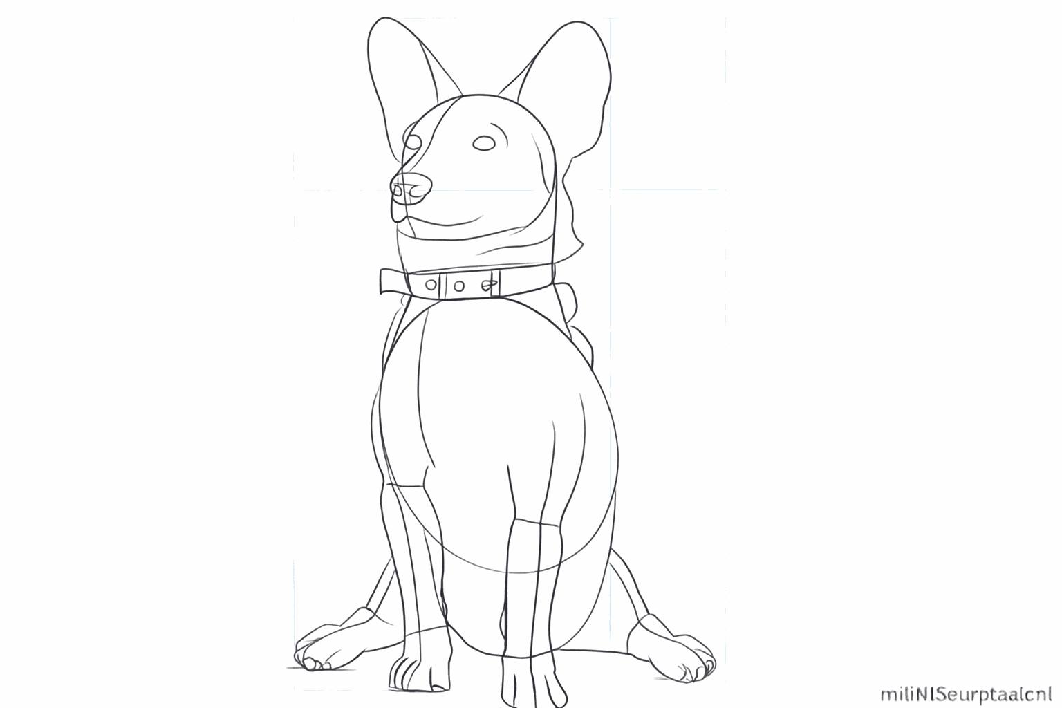 Yeux brillants et détails à l'intérieur des grandes oreilles du chien.