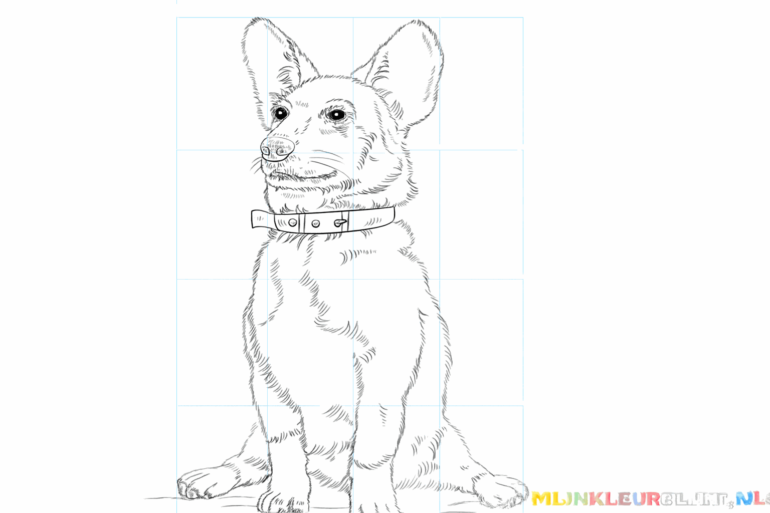 Drawing a cheerful Corgi in 9 steps