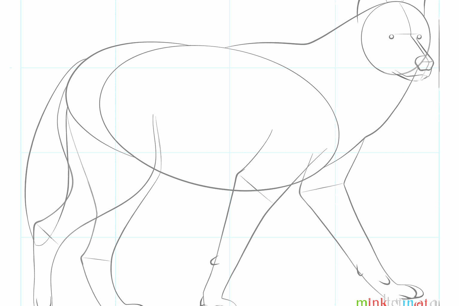 Draw two pointed ears and a thick, hairy tail on the wolf.