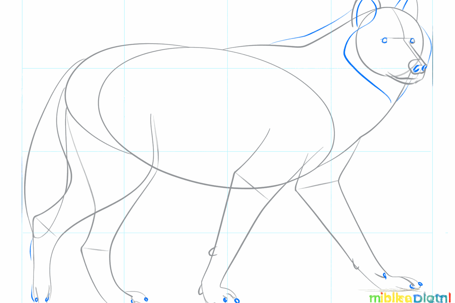 Add details such as eyes, a nose, and small circles for the toes.