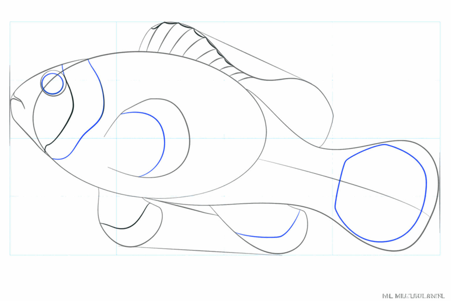 A round eye and a smiling mouth on the head of the clownfish.