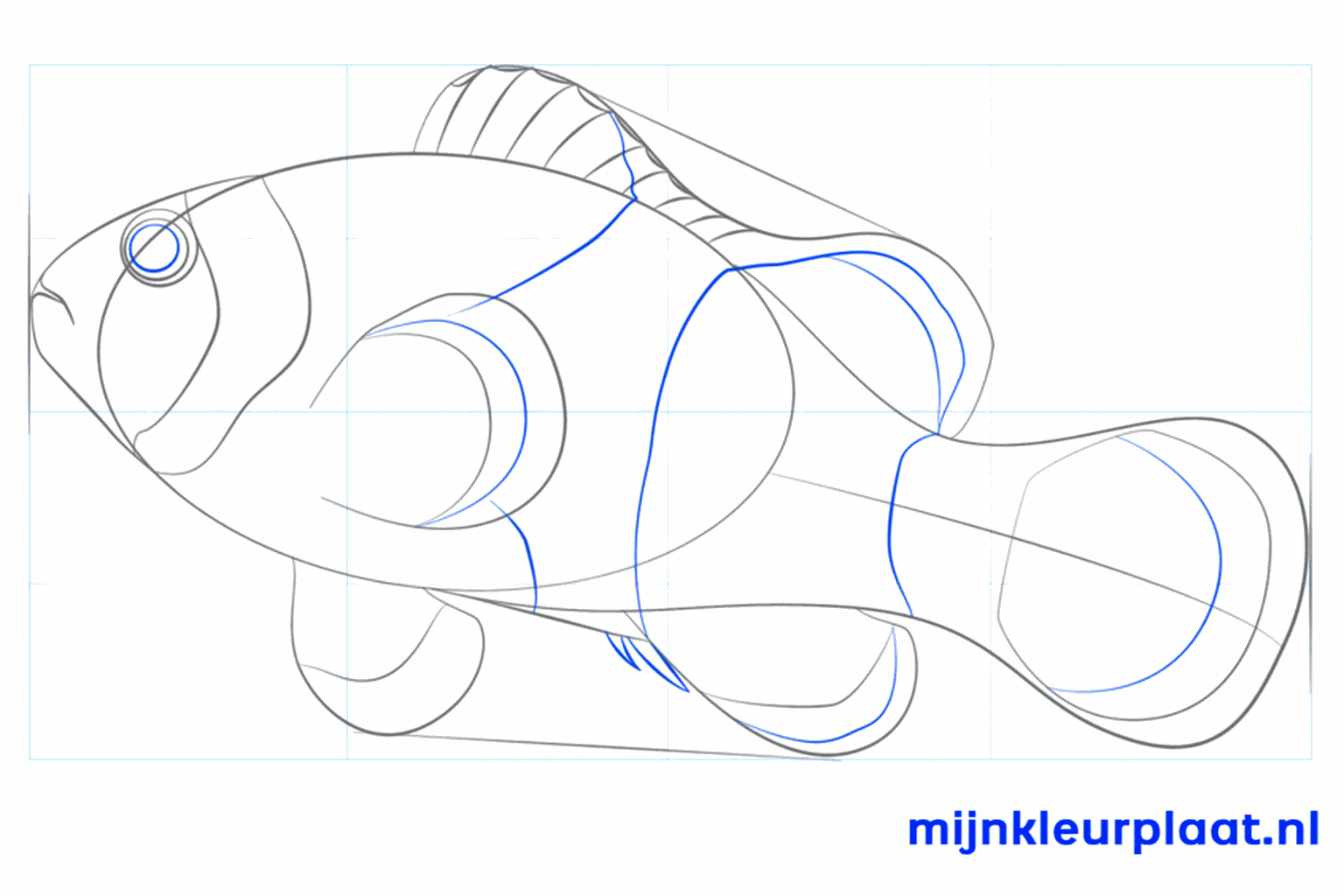 Details such as lines in the fins and a wavy top edge.