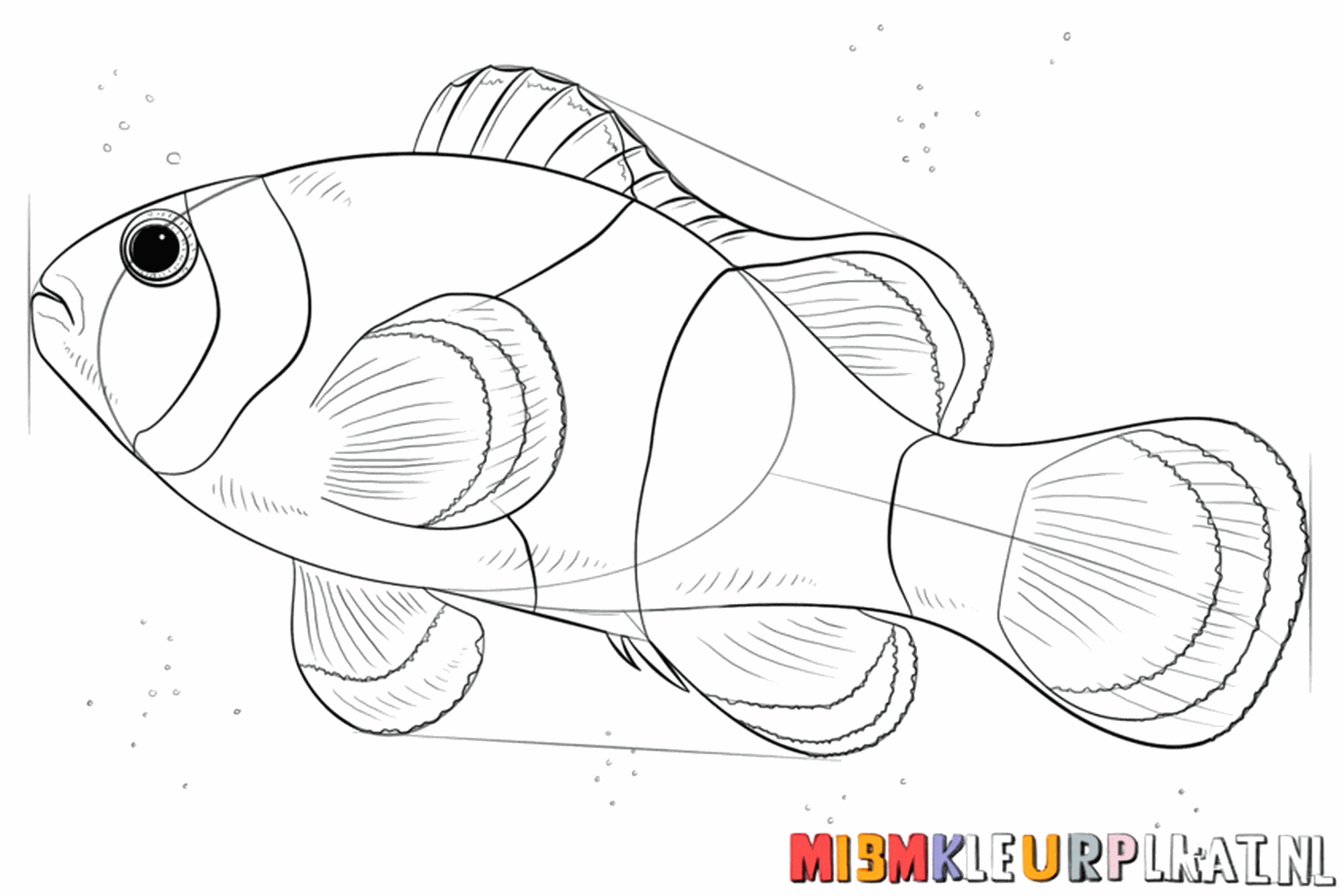 Three vertical wavy bands across the body of the fish.