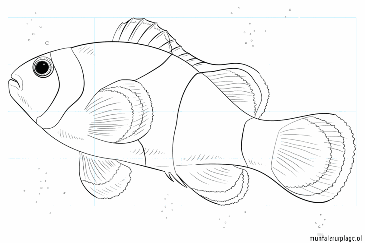 Drawing a cheerful clownfish step-by-step