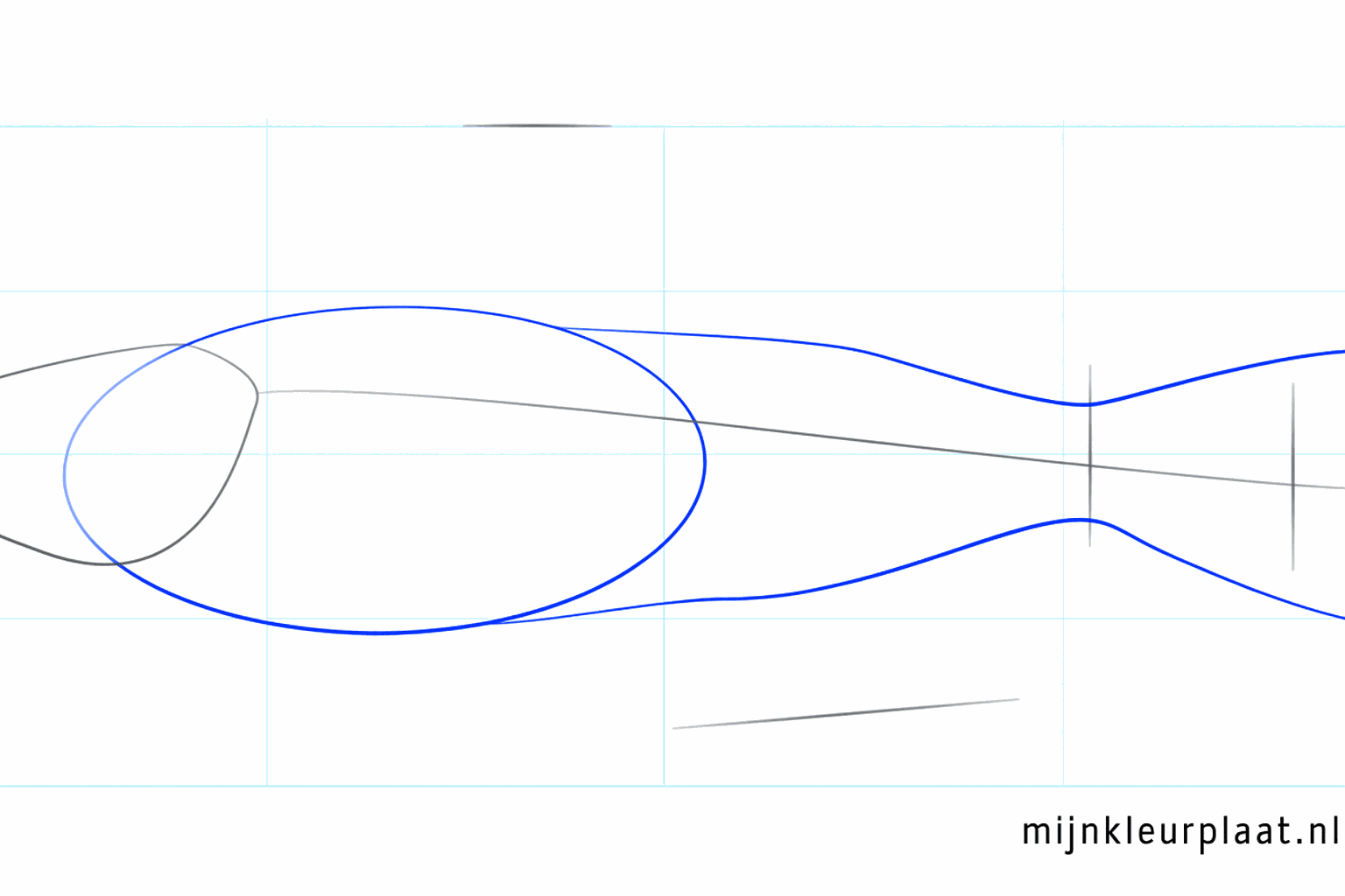 A large oval for the body of the fish and a tail shape.