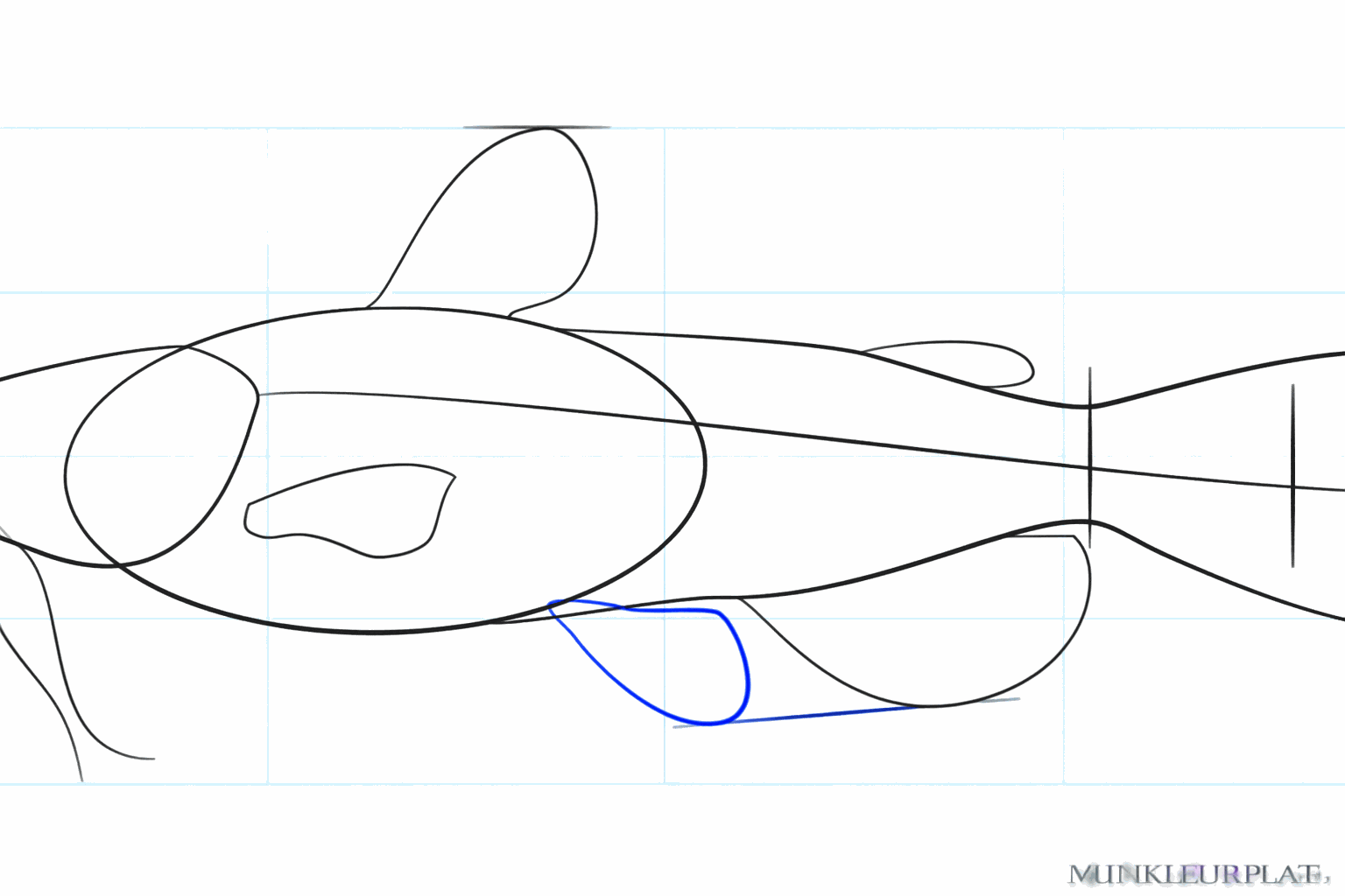 Guide lines for the fins on the side and the whiskers near the mouth.