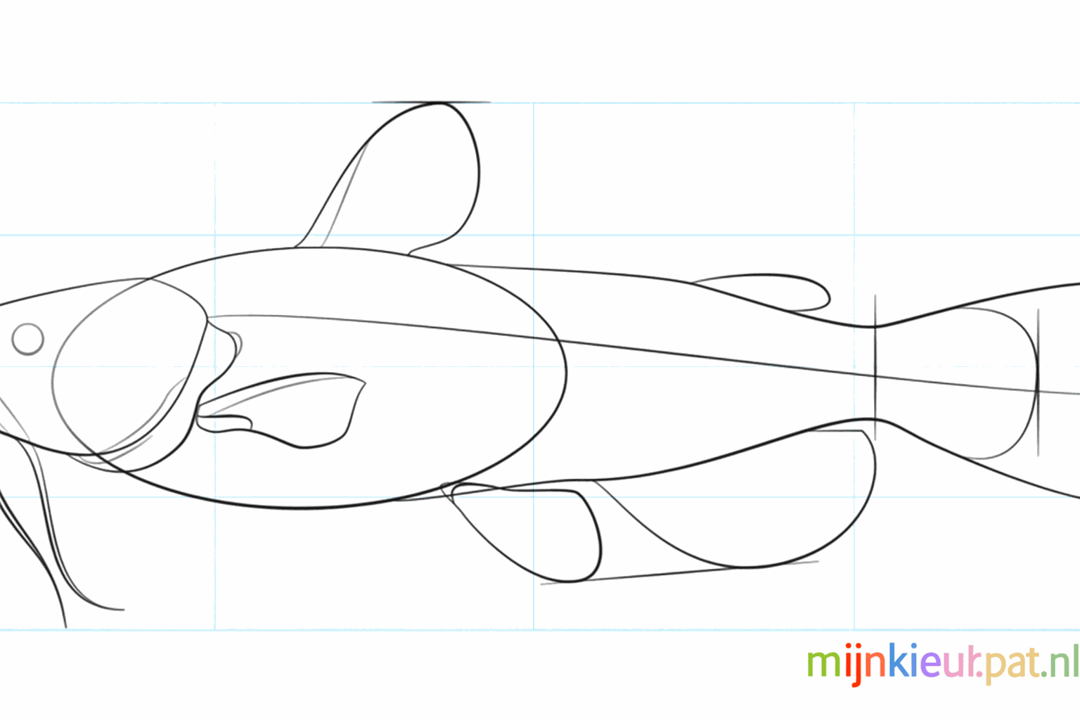 Detail of the head with an eye and extra short whiskers.