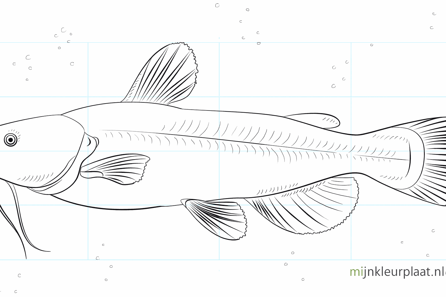 Drawing a cheerful catfish