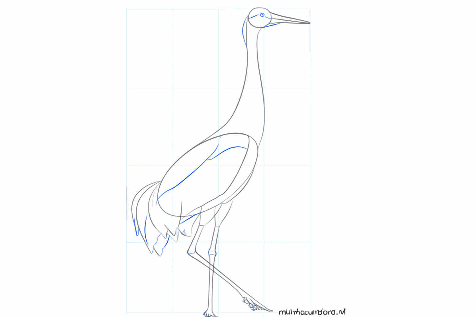 Details such as an eye, toes on the legs, and the shape of a wing.