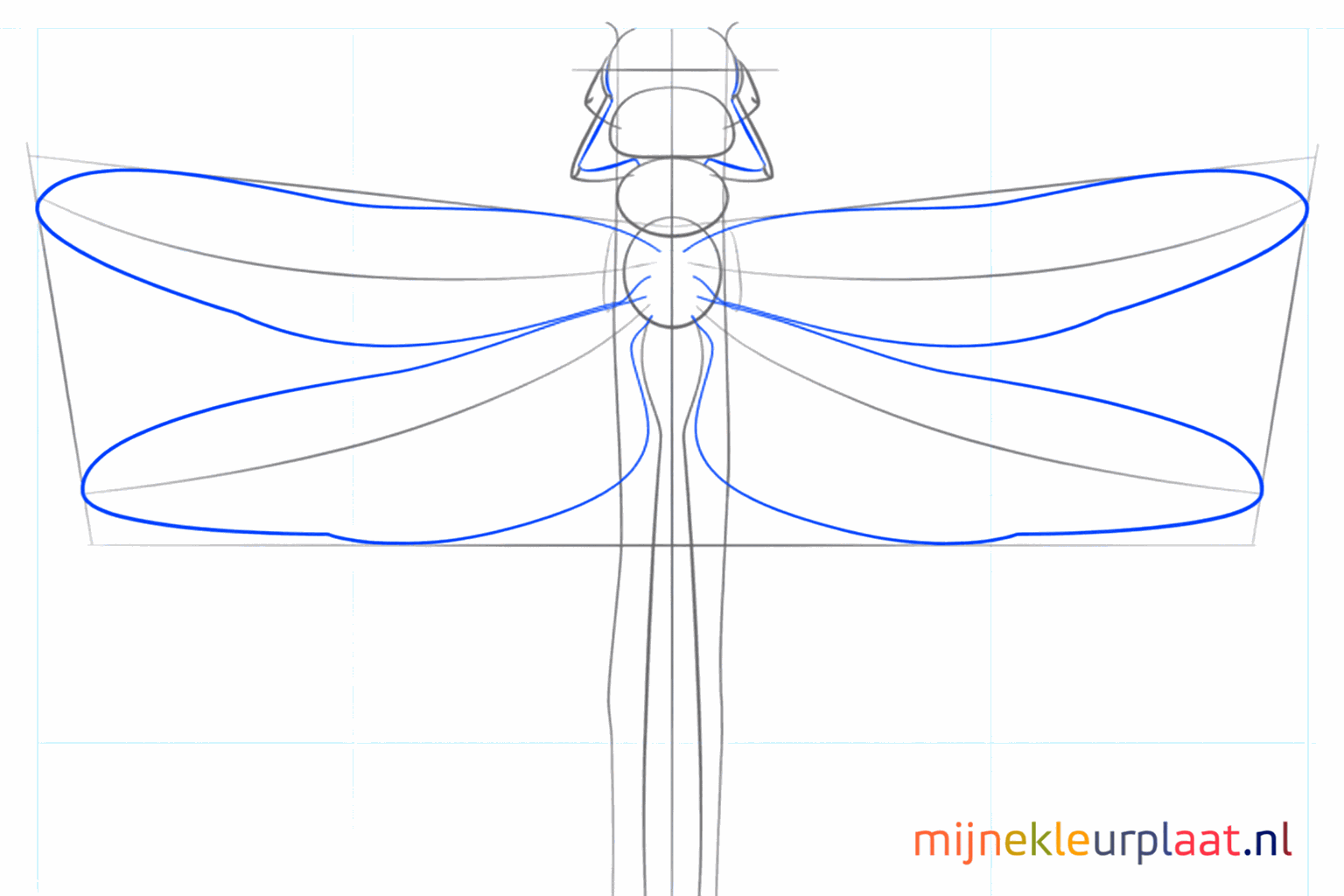 Guide lines for the four wings and the start of the legs.