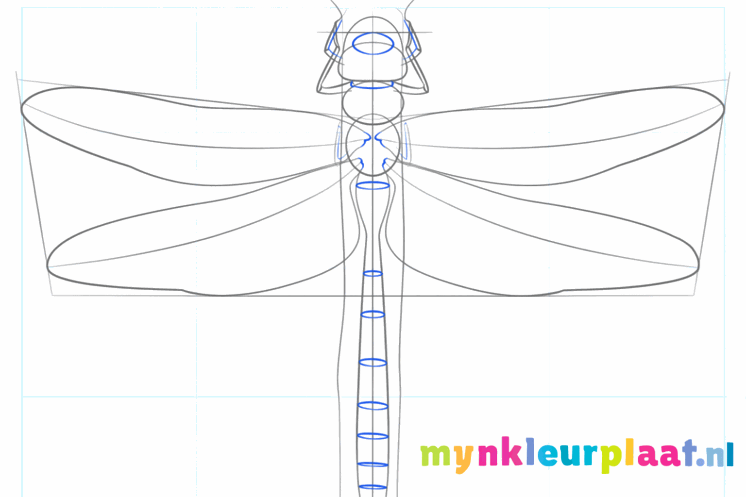 The first wings and back legs of the dragonfly become visible.