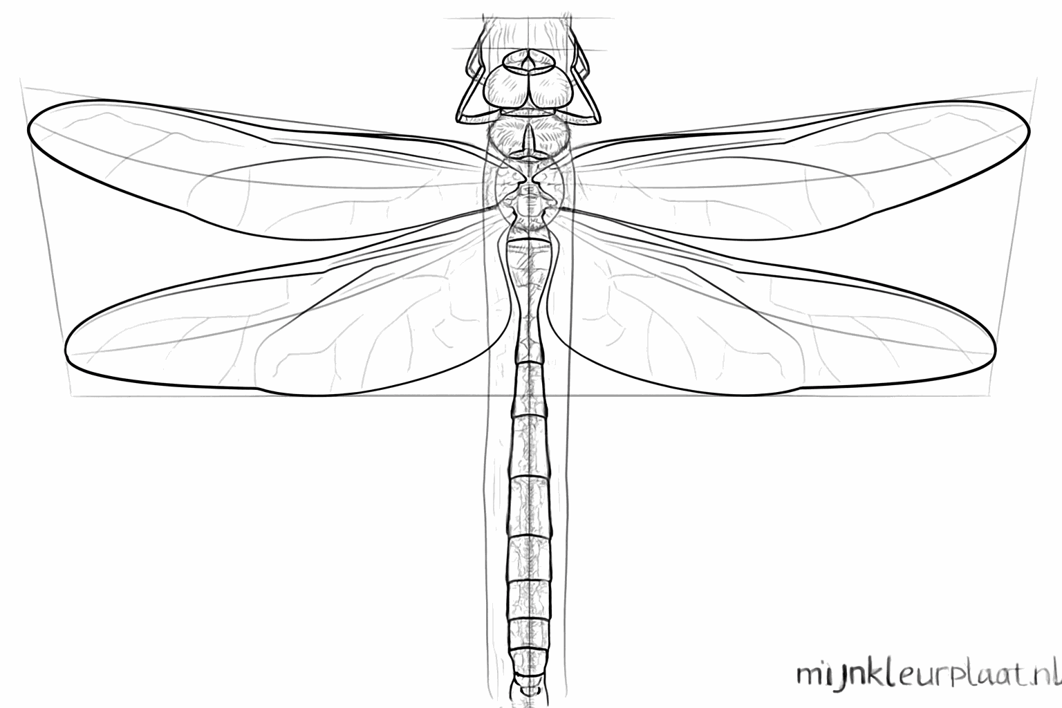Details such as large eyes and rings on the abdomen of the dragonfly.