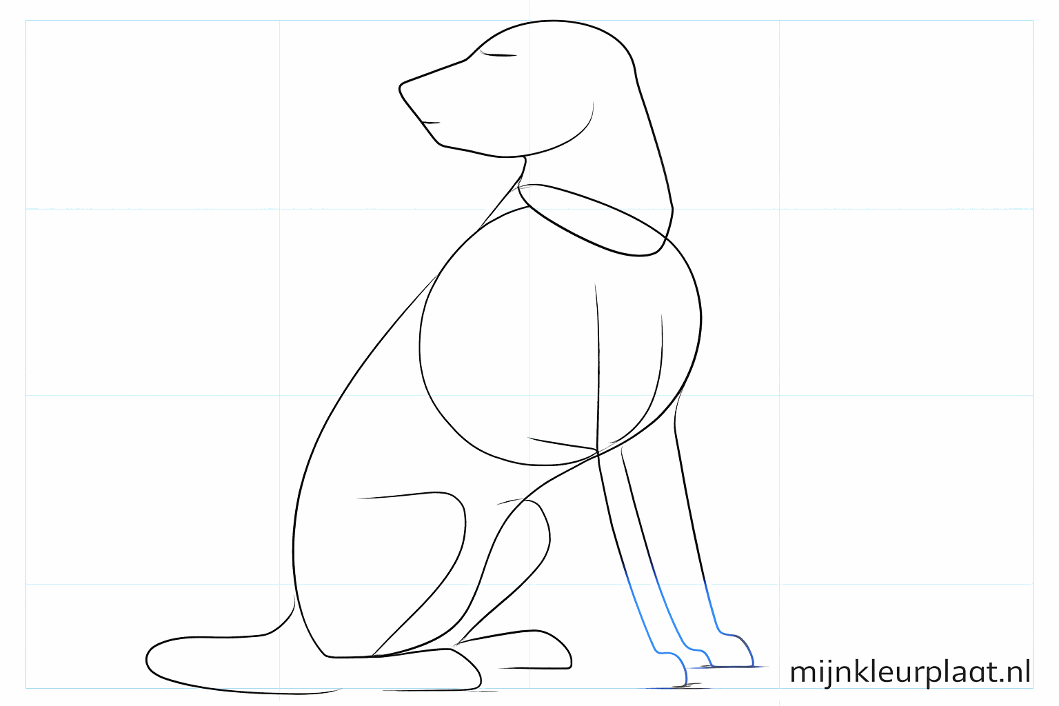 Guide lines for the legs and the face of the dog.