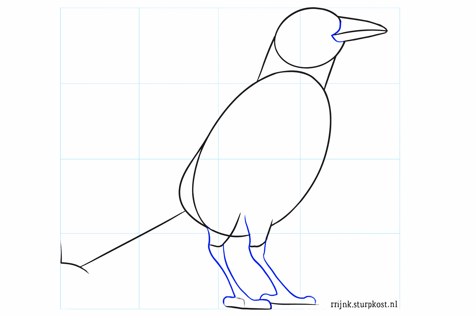 The beak takes shape with a line in the middle.