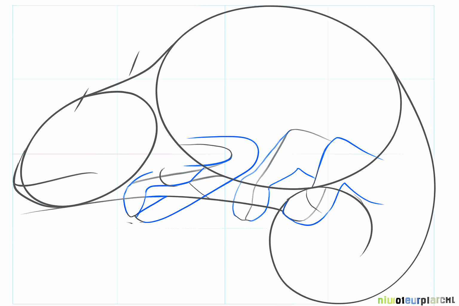 Small dashes for the position of the legs and the mouth.