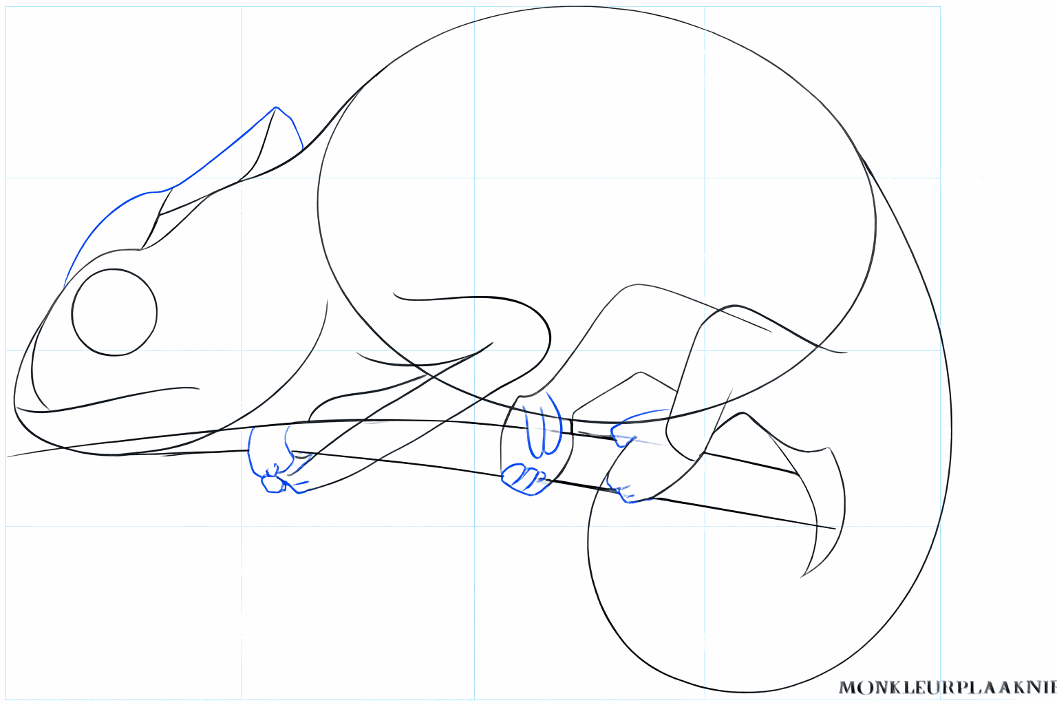 Shapes of the legs and the jaw of the chameleon.