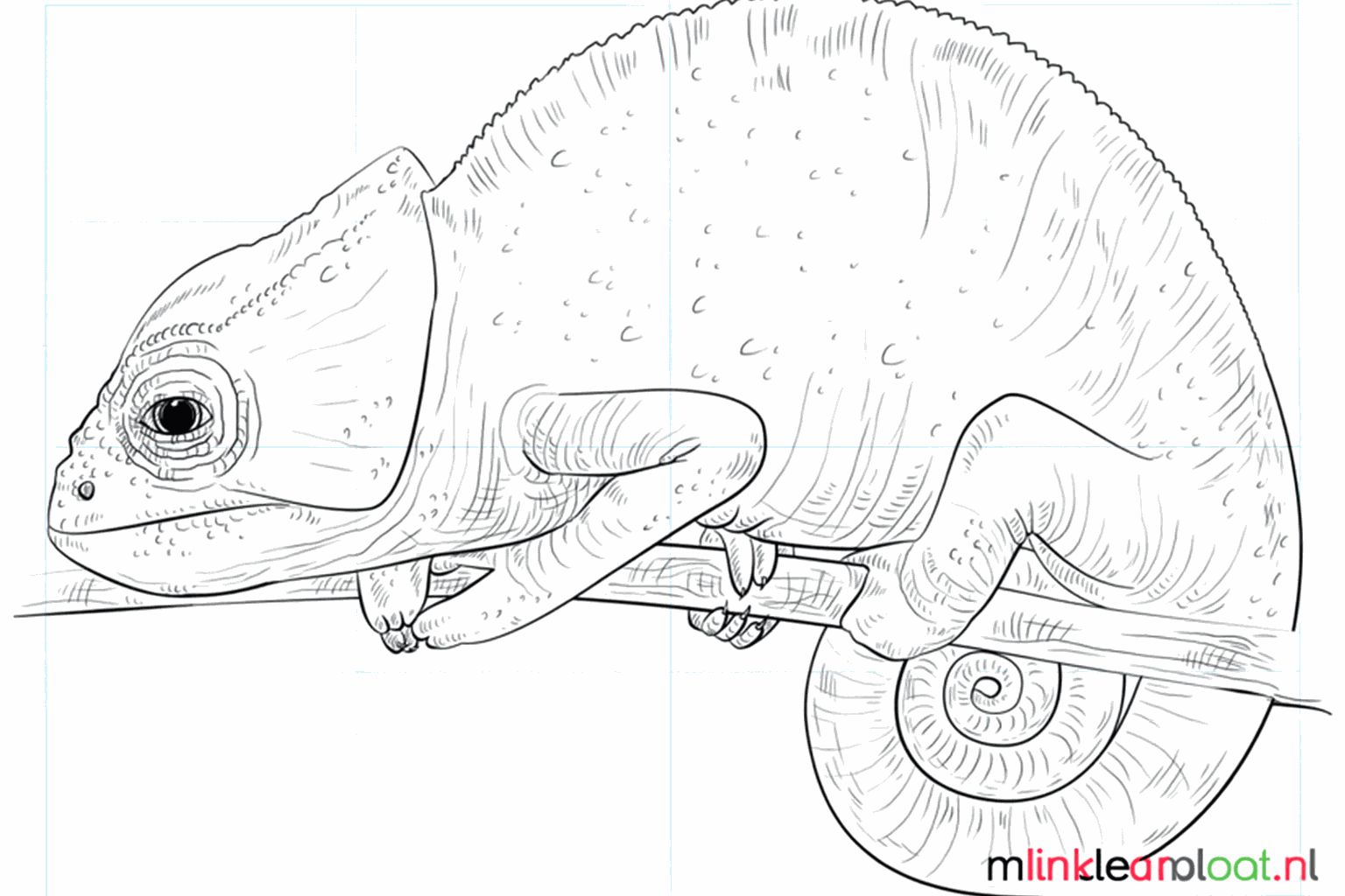 Drawing a Cheerful Chameleon Step-by-Step