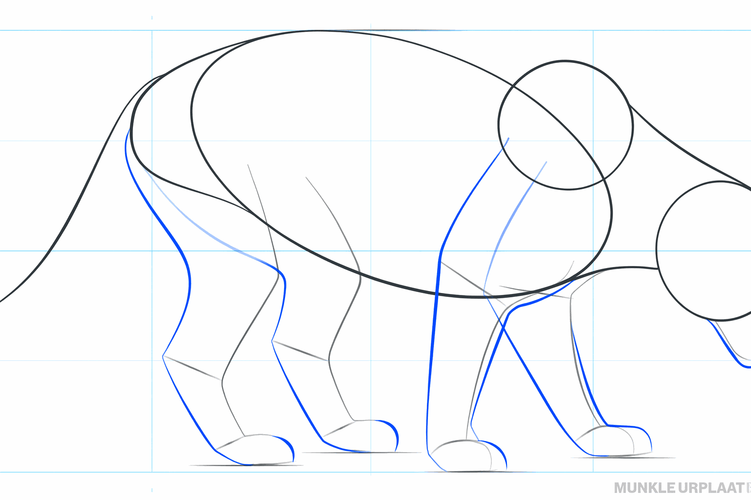 Adding the shape of the snout to the circle of the head.