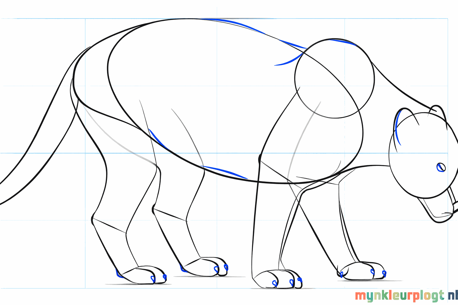 Details such as ears, nose, and a thick tail are added to the drawing.