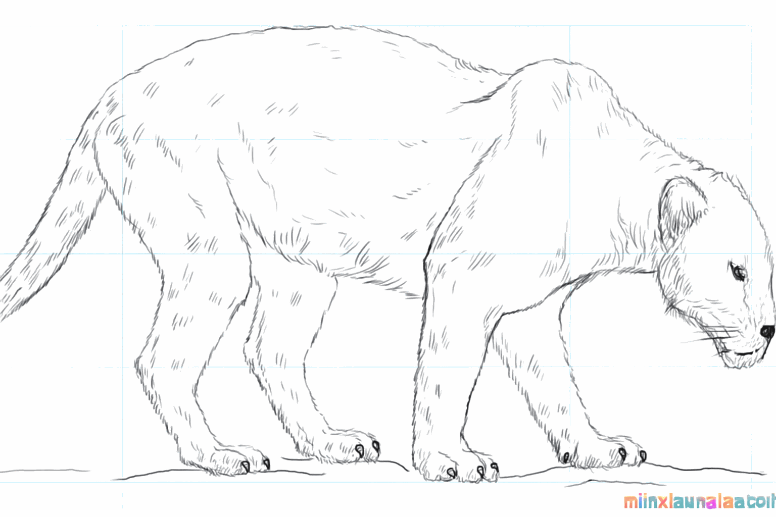 Drawing a black panther: Learn to create a cool predator step-by-step