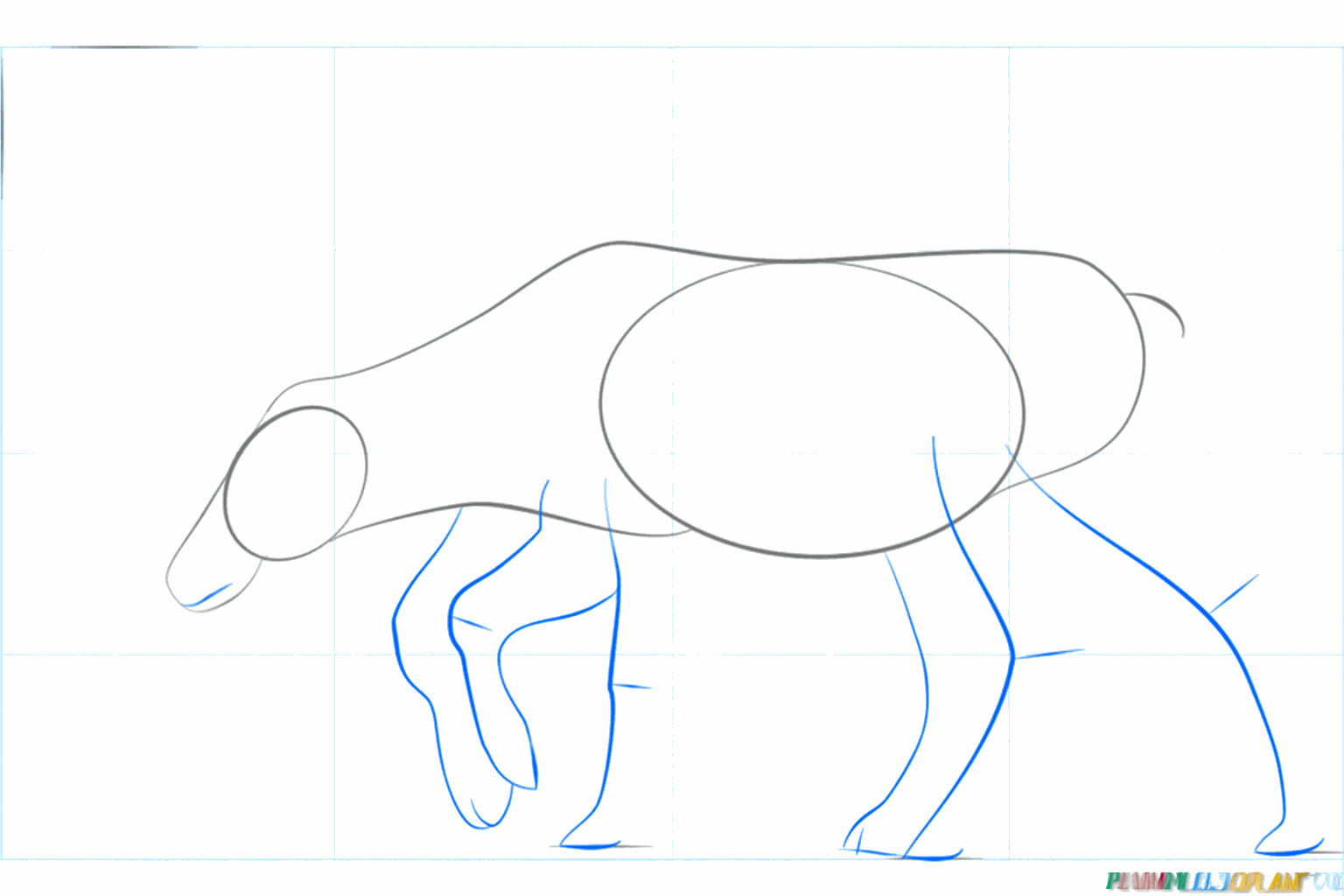 Guide lines for the four legs and the nose of the reindeer.