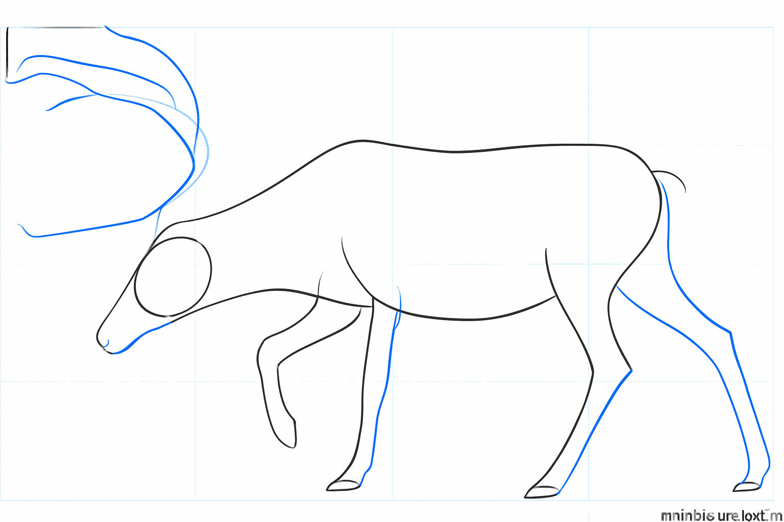Thicker legs and the first lines for the large antlers.