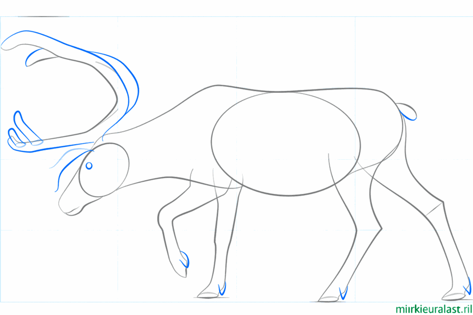 Details of the hooves and a fluffy tail.