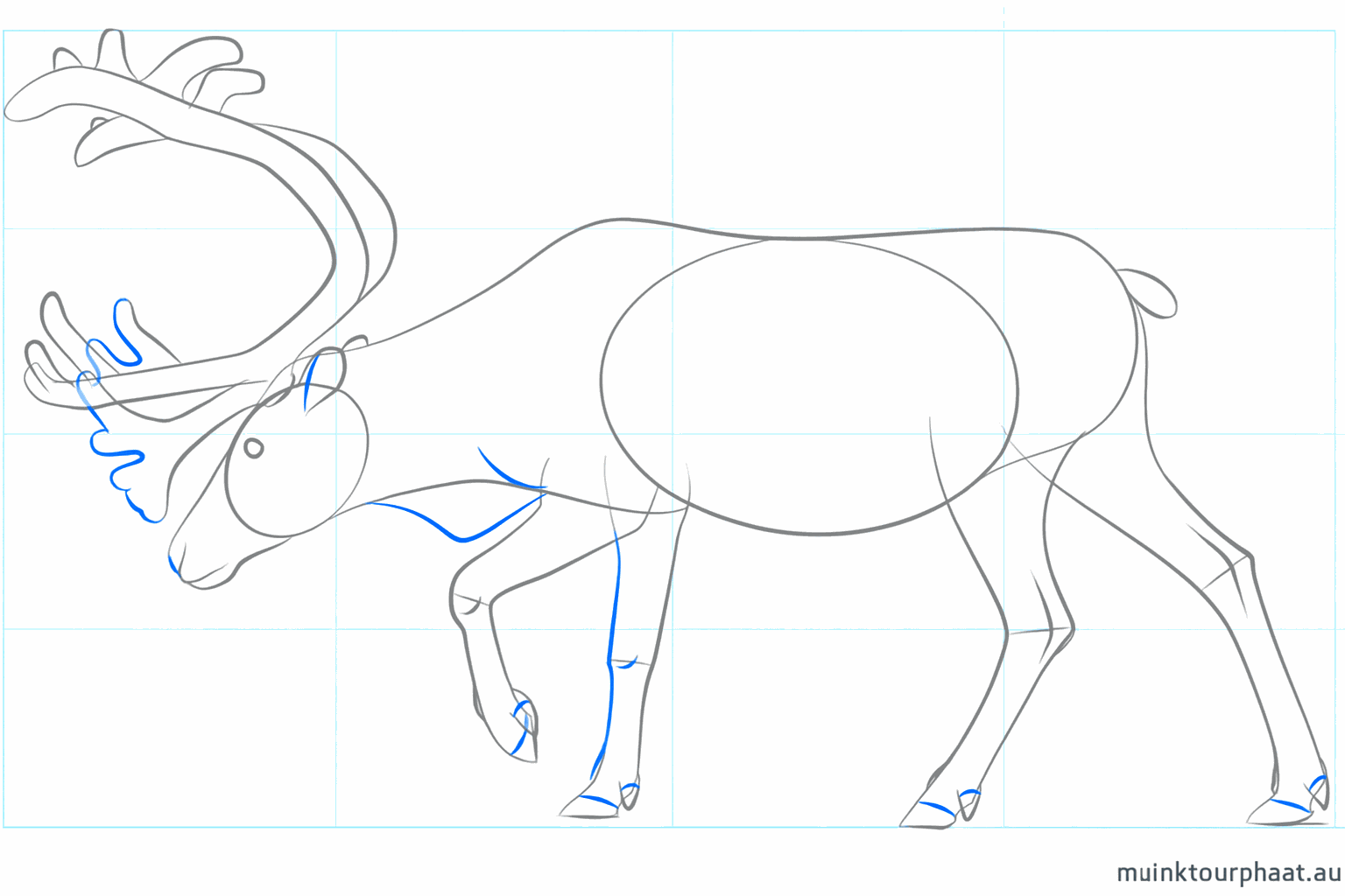 Adding ears and a round nose to the head.