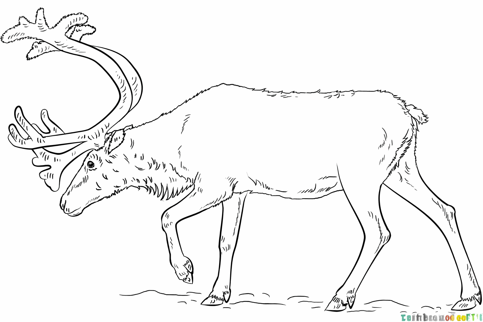 Drawing a cheerful reindeer