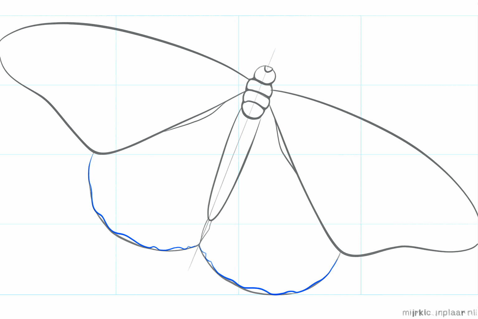 Two round shapes under the large wings for the lower half of the butterfly.