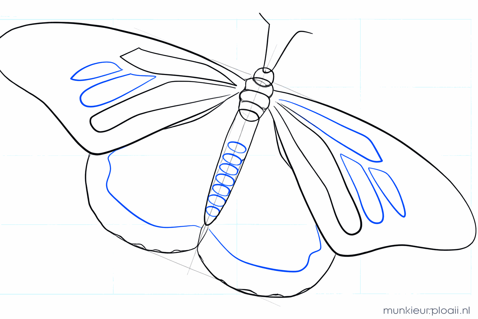Two curved lines on the head and a more clearly drawn abdomen.