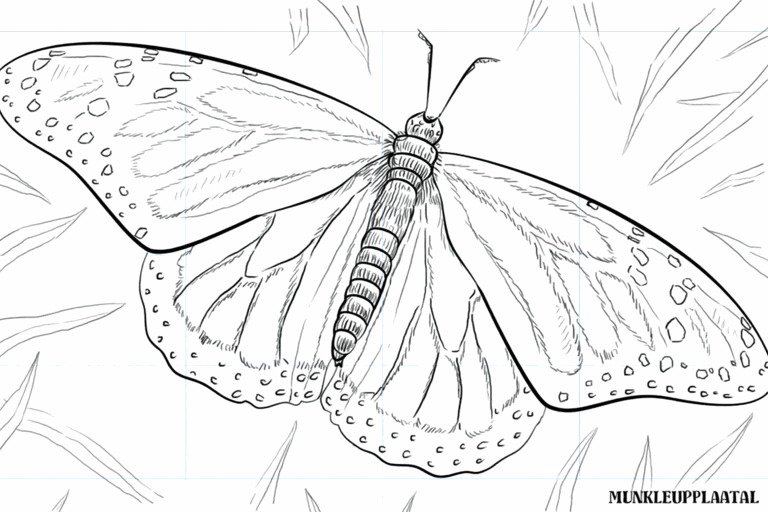 Drawing a beautiful monarch butterfly