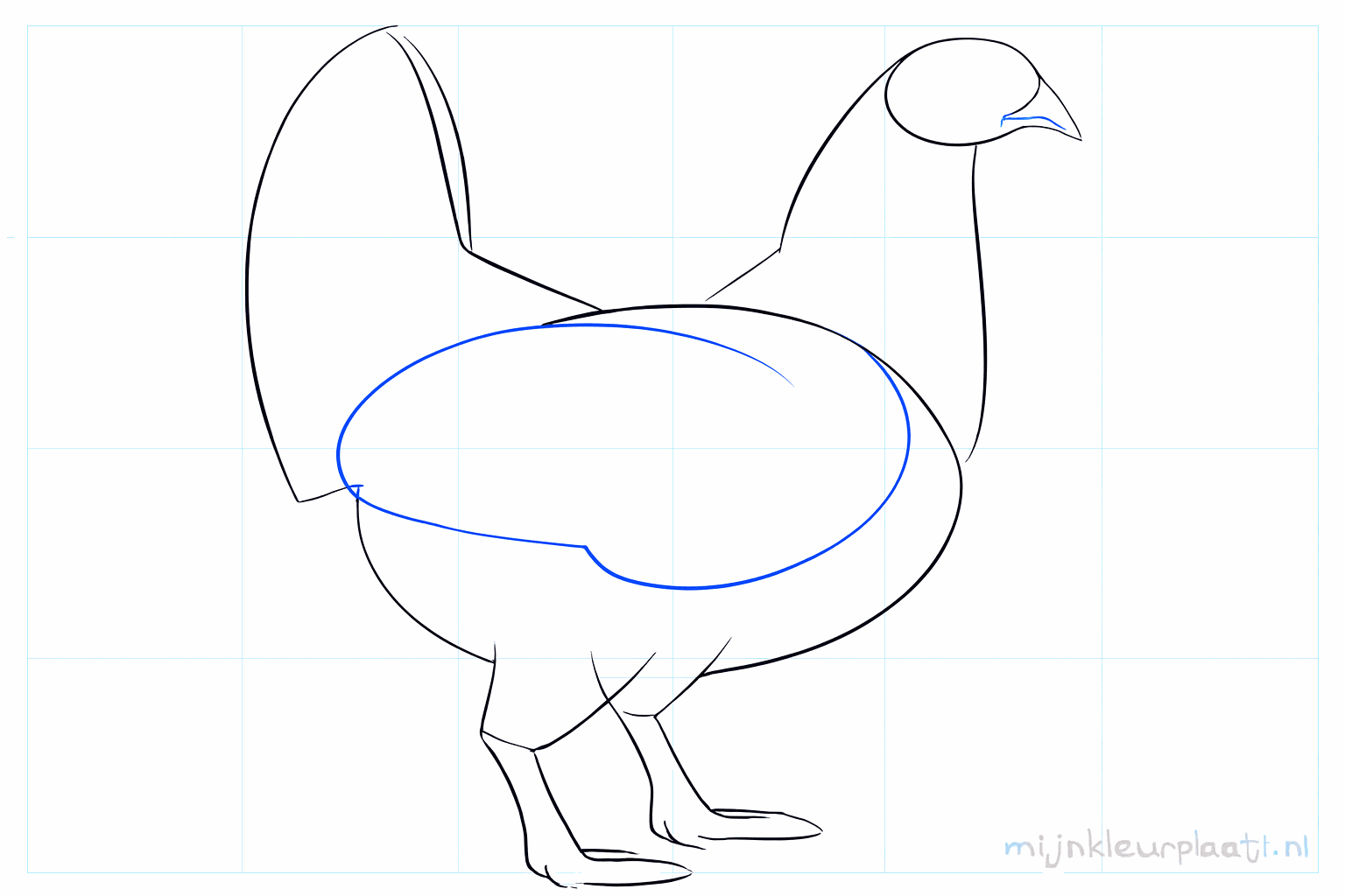 Pencil lines for the legs and the first shape of the chicken tail.