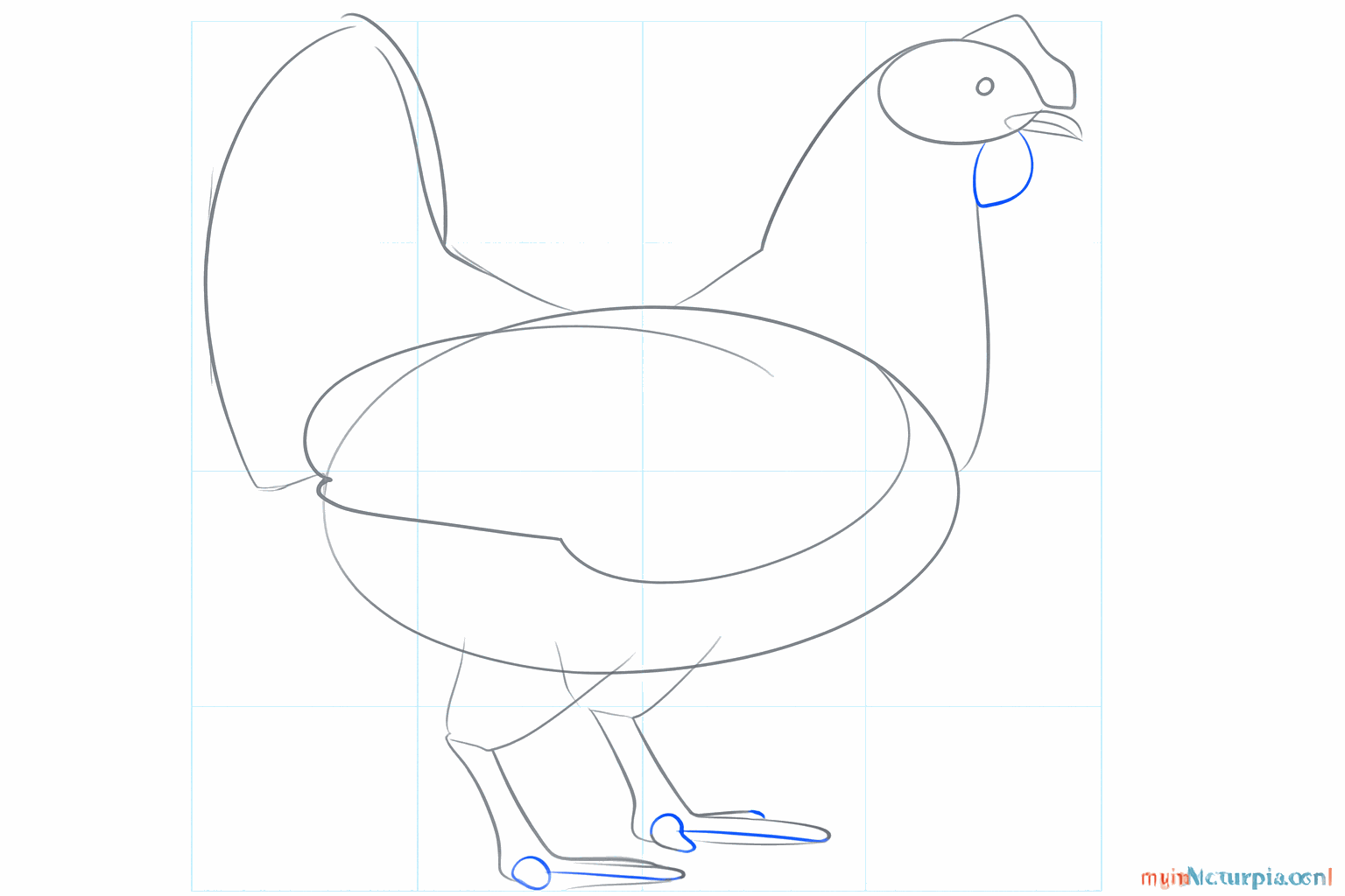 Thicker legs, a wing line on the belly, and the shape of the beak.