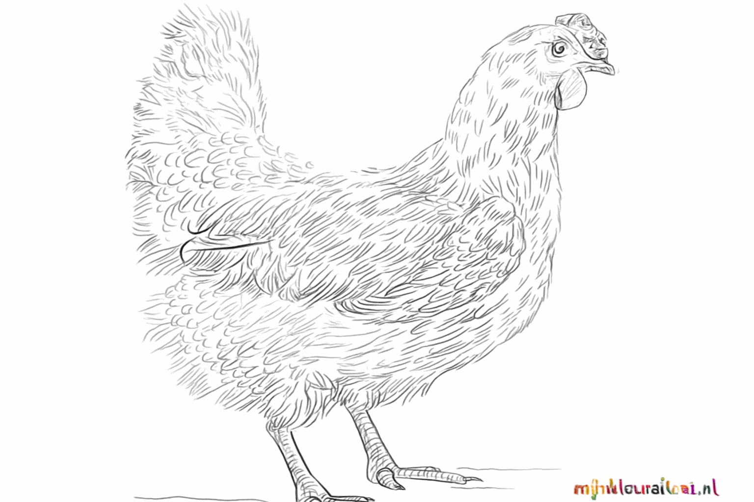 Learning to draw a happy chicken