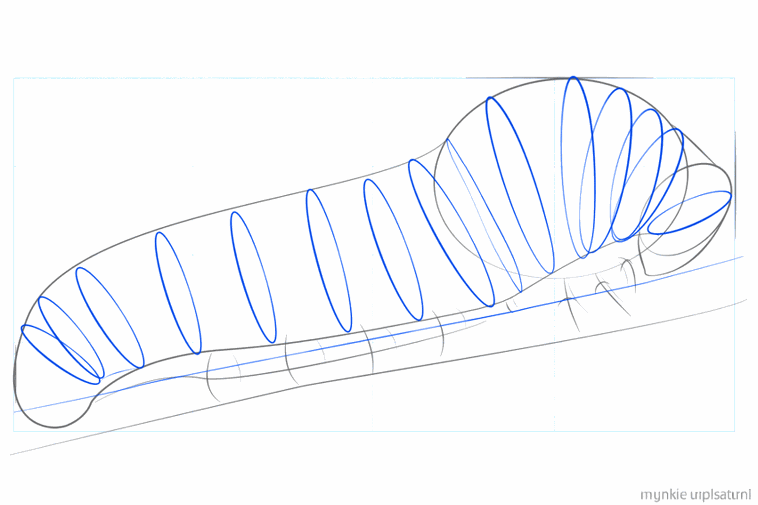 The caterpillar gets round shapes across its body and a branch appears beneath it.